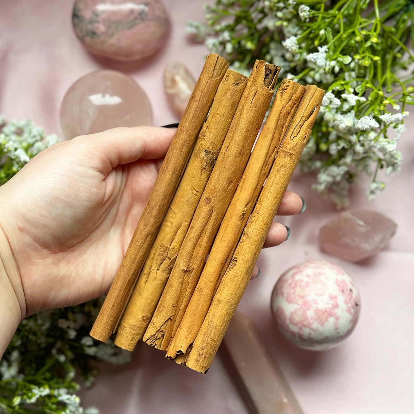 Whole Large Cinnamon Sticks